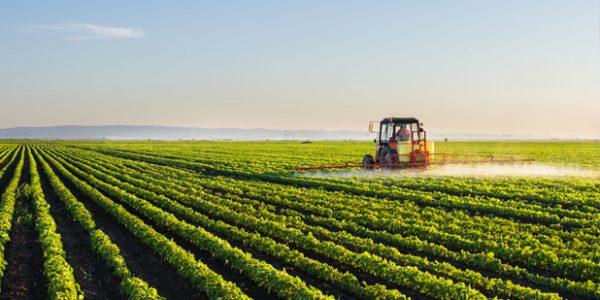 Políticas públicas, medio ambiente y agro: cómo lograr un equilibrio sostenible