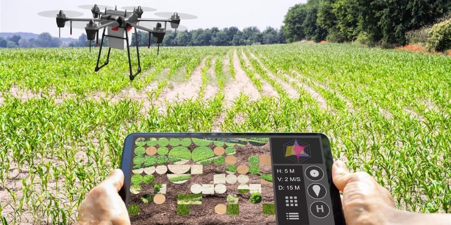 Tecnología e innovación: cómo la inteligencia artificial, IoT y drones están cambiando el agro